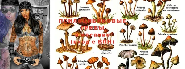 а пвп мука Абаза