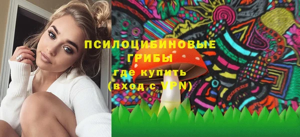 а пвп мука Абаза