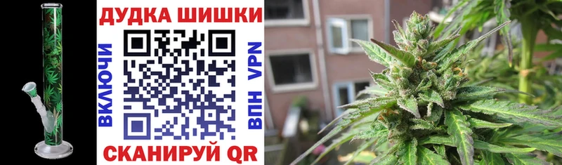 где купить   Шахунья  darknet как зайти  Шишки марихуана конопля 